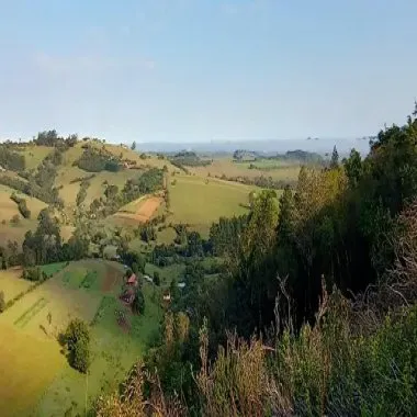 Exclente chacara de 2,3 hectares em Lomba Grande, Novo Hamburgo