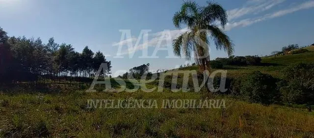 Exclente chacara de 2,3 hectares em Lomba Grande, Novo Hamburgo