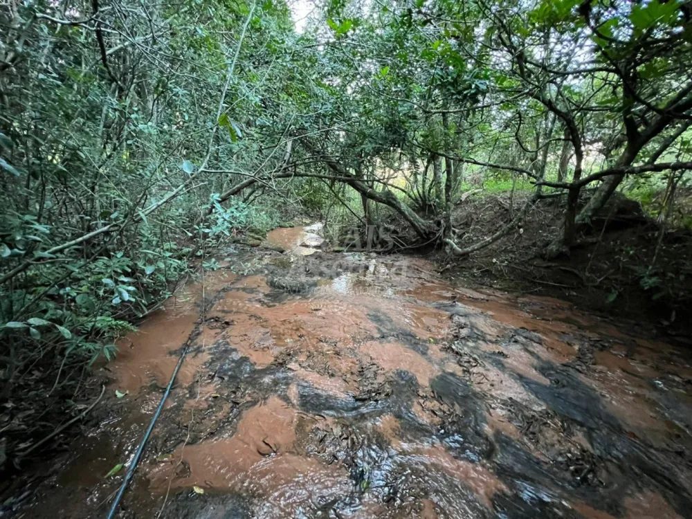 Chácara de 10 hectares para venda em Lomba Grande, Novo Hamburgo