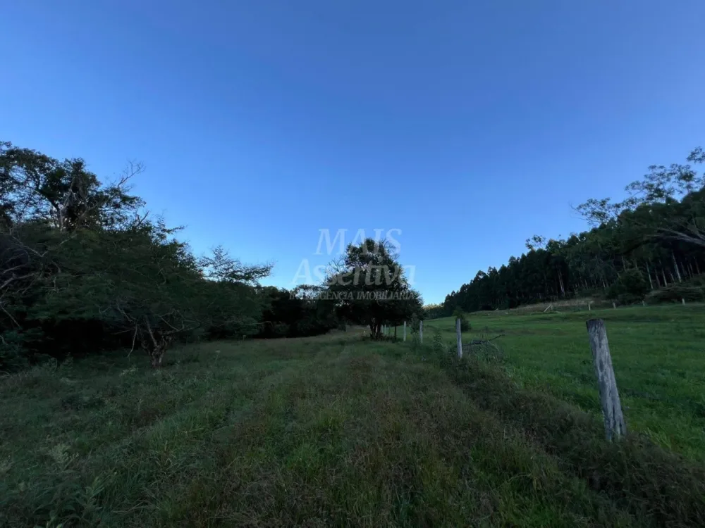 Chácara de 10 hectares para venda em Lomba Grande, Novo Hamburgo