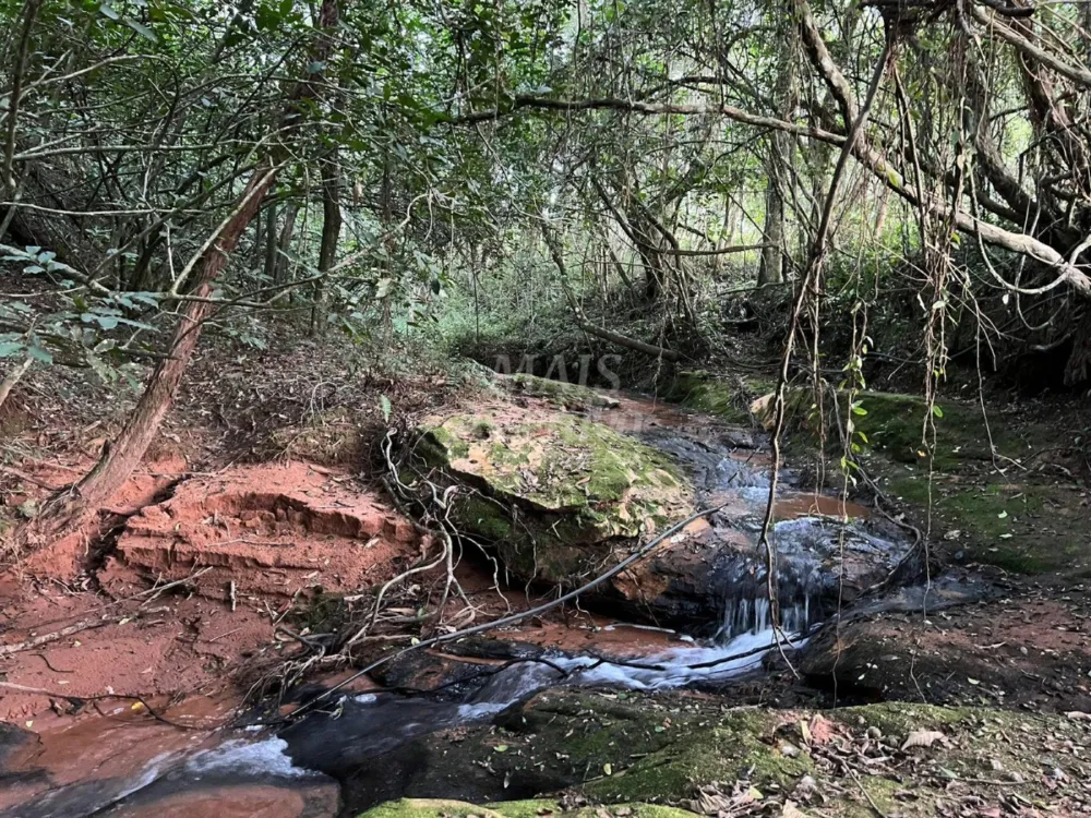Chácara de 10 hectares para venda em Lomba Grande, Novo Hamburgo