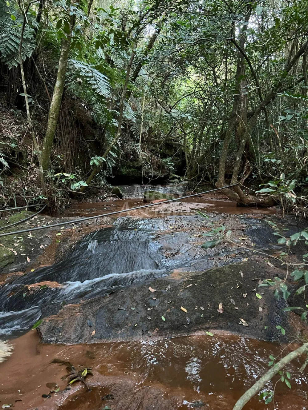 Chácara de 10 hectares para venda em Lomba Grande, Novo Hamburgo