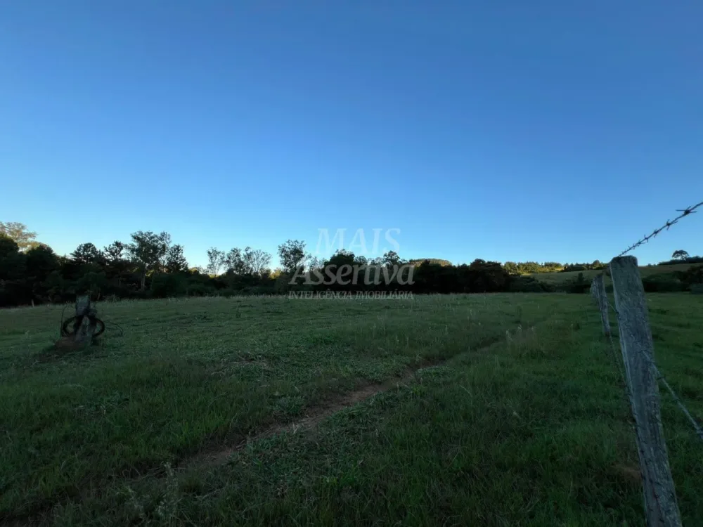 Chácara de 10 hectares para venda em Lomba Grande, Novo Hamburgo