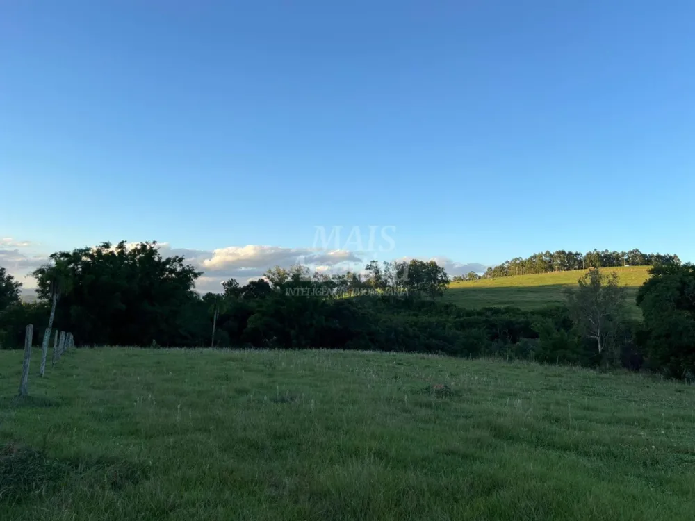 Chácara de 10 hectares para venda em Lomba Grande, Novo Hamburgo