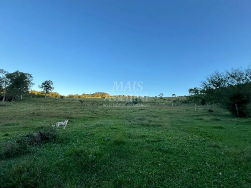 Chácara de 10 hectares para venda em Lomba Grande, Novo Hamburgo