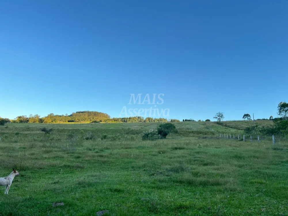 Chácara de 10 hectares para venda em Lomba Grande, Novo Hamburgo
