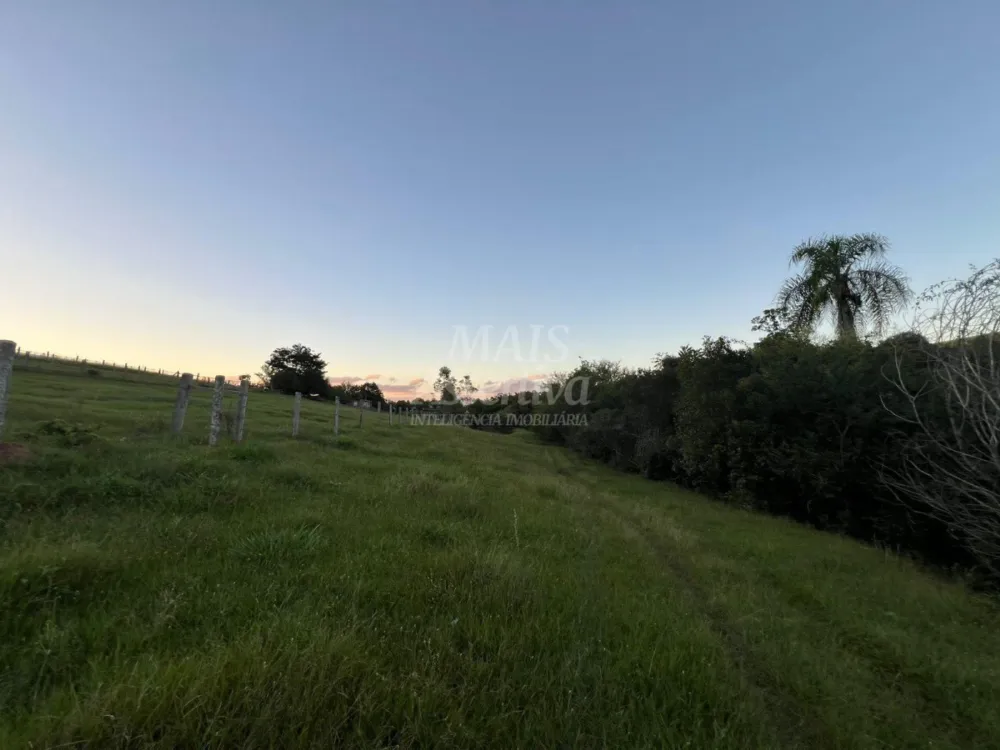 Chácara de 10 hectares para venda em Lomba Grande, Novo Hamburgo