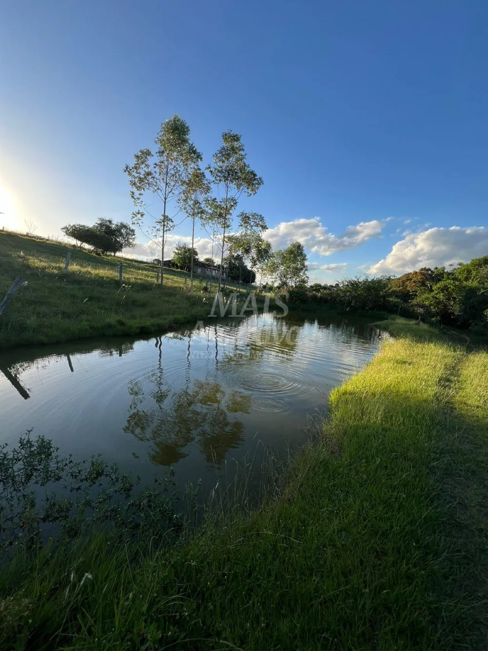 Chácara de 10 hectares para venda em Lomba Grande, Novo Hamburgo