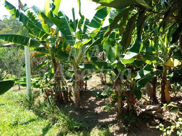 Sitio para venda de 2.400m² em São Sebastião do Cai/RS. 