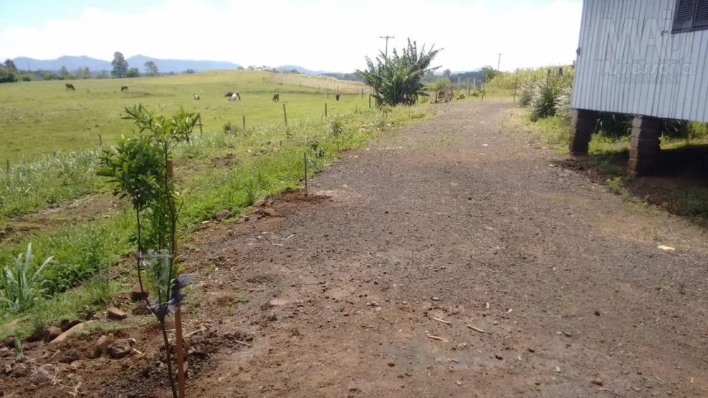 Chácara para Venda em Passo dos Ramos, Santo Antônio da Patrulha/RS.