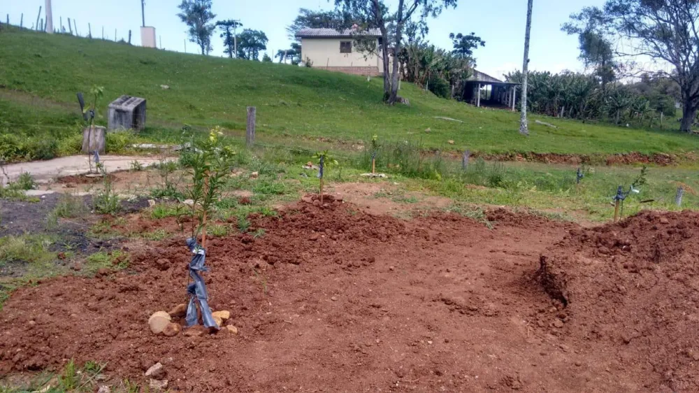 Chácara para Venda em Passo dos Ramos, Santo Antônio da Patrulha/RS.