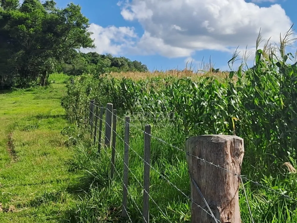 Área de Terras à venda, localizada em Taquara, ótima para plantação ou criação