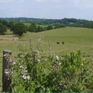 Excelente Fazenda com área de 82,371 hectares em Gravataí Bairro Itacolomi