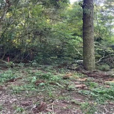 Área  para venda em Taquara, Fazenda Fialho - 4.300m² 