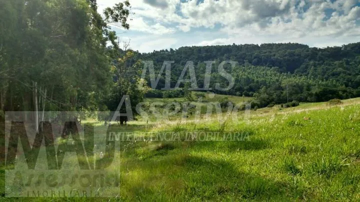 Excelente Chácara com 87 hectares para venda em Capela de Santana