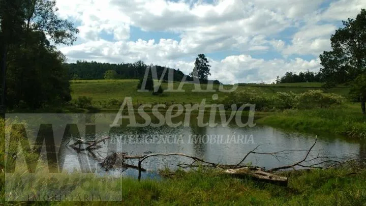 Excelente Chácara com 87 hectares para venda em Capela de Santana