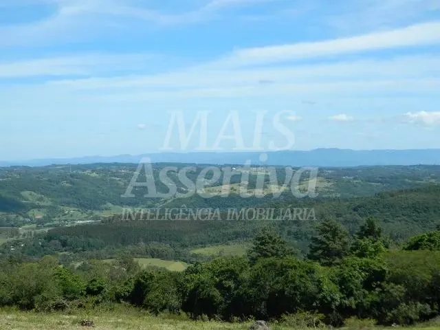 Excelente sítio para venda localizado no bairro Morungava em Gravataí/RS 