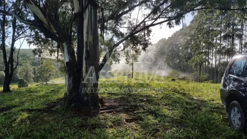 Excelente sítio para venda localizado no bairro Morungava em Gravataí/RS 