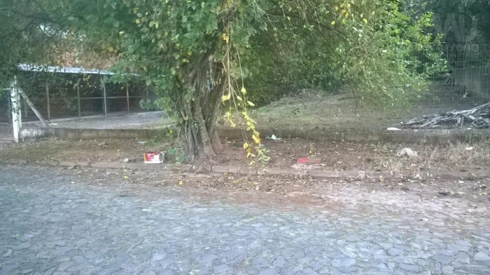 Terreno para Venda em São Leopoldo / RS no bairro Scharlau