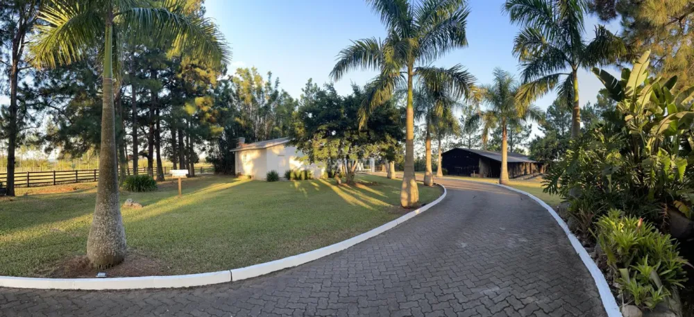 Belíssima chácara de 6"ha" para venda em Miraguaia Santo Antônio da Patrulha