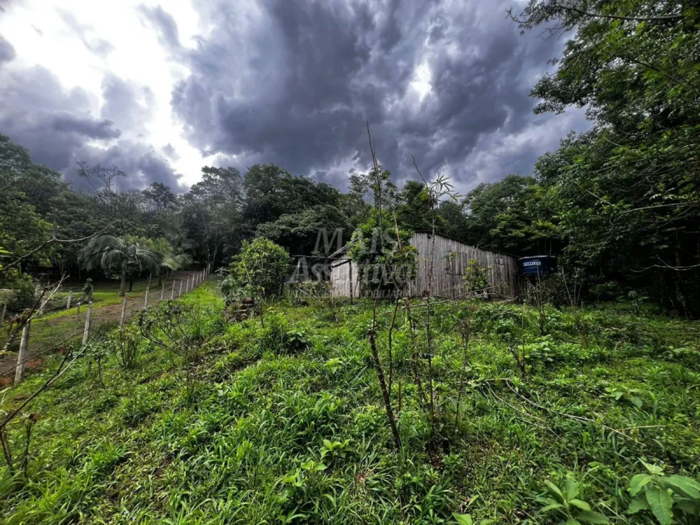 Chacara para venda em Campo Bom, Quatro Colônias Norte de 5.000m² 