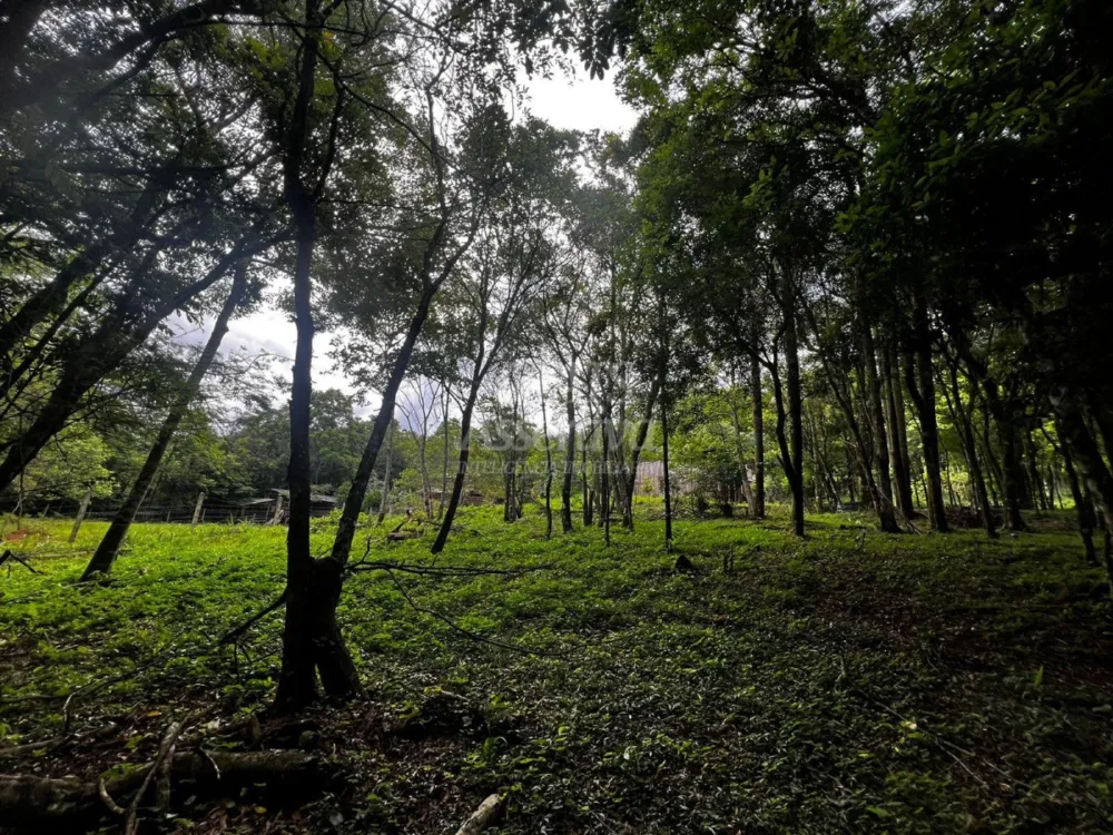 Chacara para venda em Campo Bom, Quatro Colônias Norte de 5.000m² 