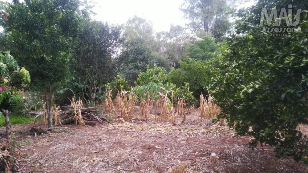 Terreno para Venda em São Leopoldo / RS no bairro Campestre