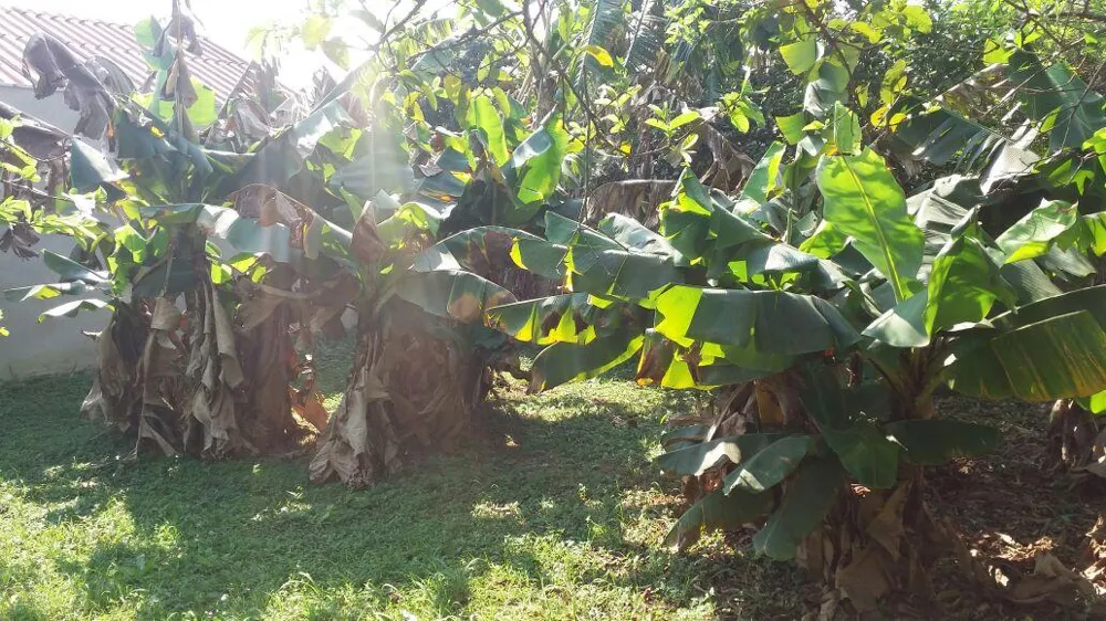 Terreno para Venda em São Leopoldo / RS no bairro Arroio da Manteiga