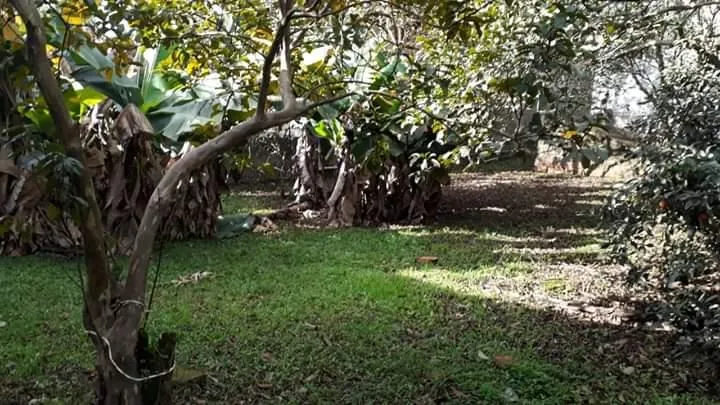 Terreno para Venda em São Leopoldo / RS no bairro Arroio da Manteiga
