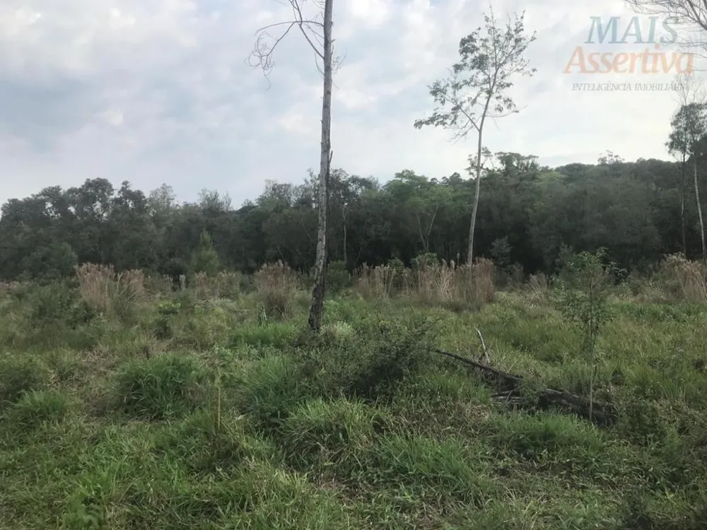 Terreno para Venda em Campo Bom / RS