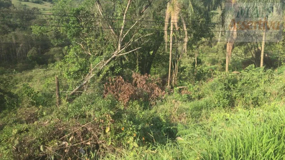 Terreno para Venda em Campo Bom / RS