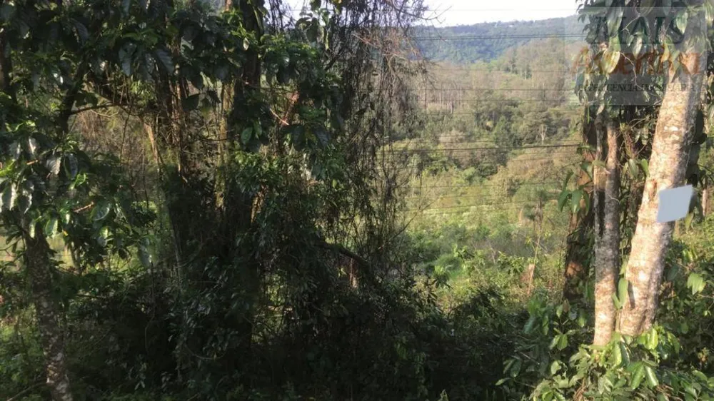 Terreno para Venda em Campo Bom / RS