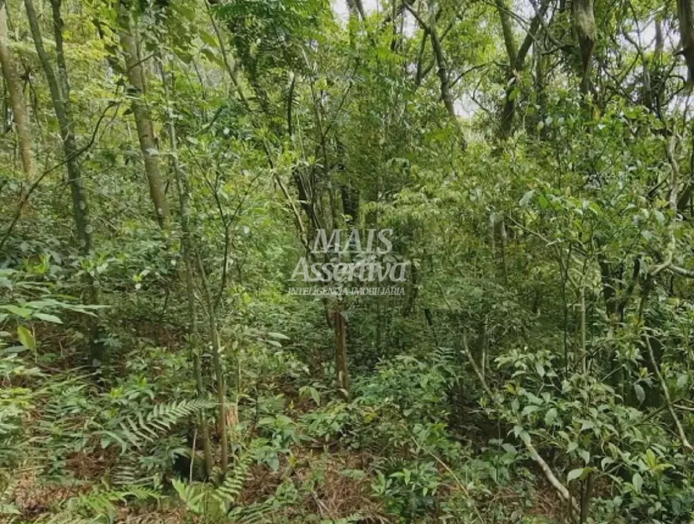 Sítio para Venda em São Francisco De Paula / RS no bairro Centro
