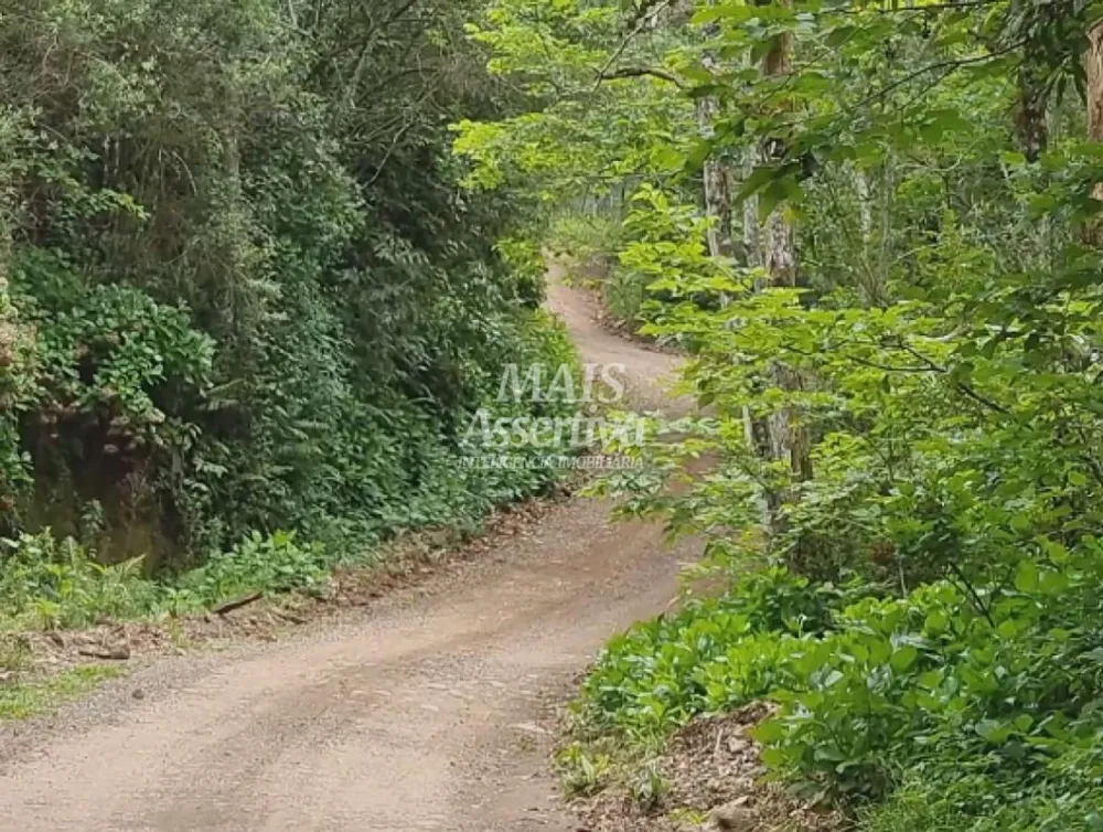 Sítio para Venda em São Francisco De Paula / RS no bairro Centro