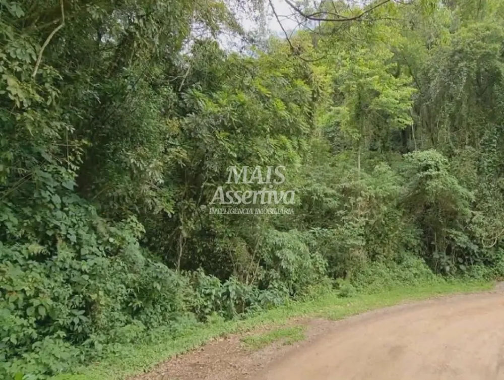 Sítio para Venda em São Francisco De Paula / RS no bairro Centro
