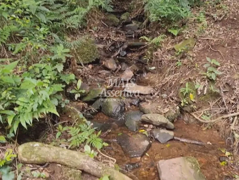 Sítio para Venda em São Francisco De Paula / RS no bairro Centro