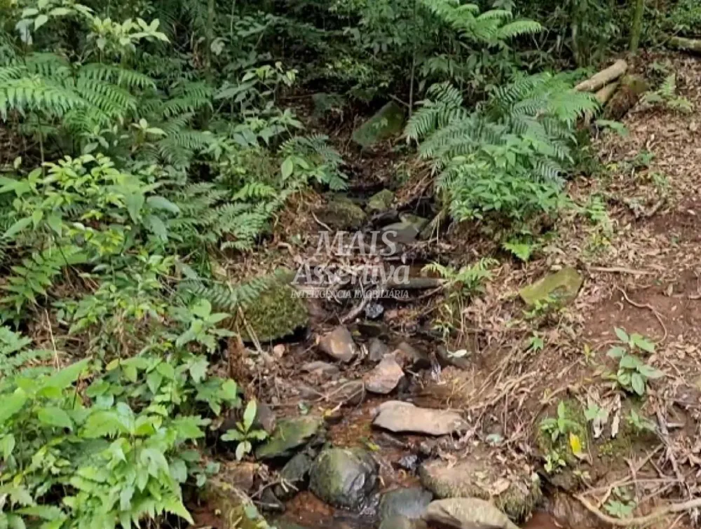 Sítio para Venda em São Francisco De Paula / RS no bairro Centro