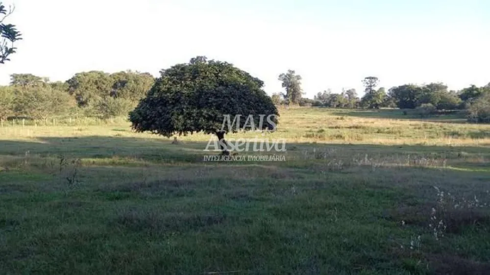 Sítio para Venda em Nova Santa Rita / RS no bairro Itapuí