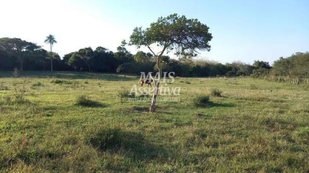 Sítio para Venda em Nova Santa Rita / RS no bairro Itapuí