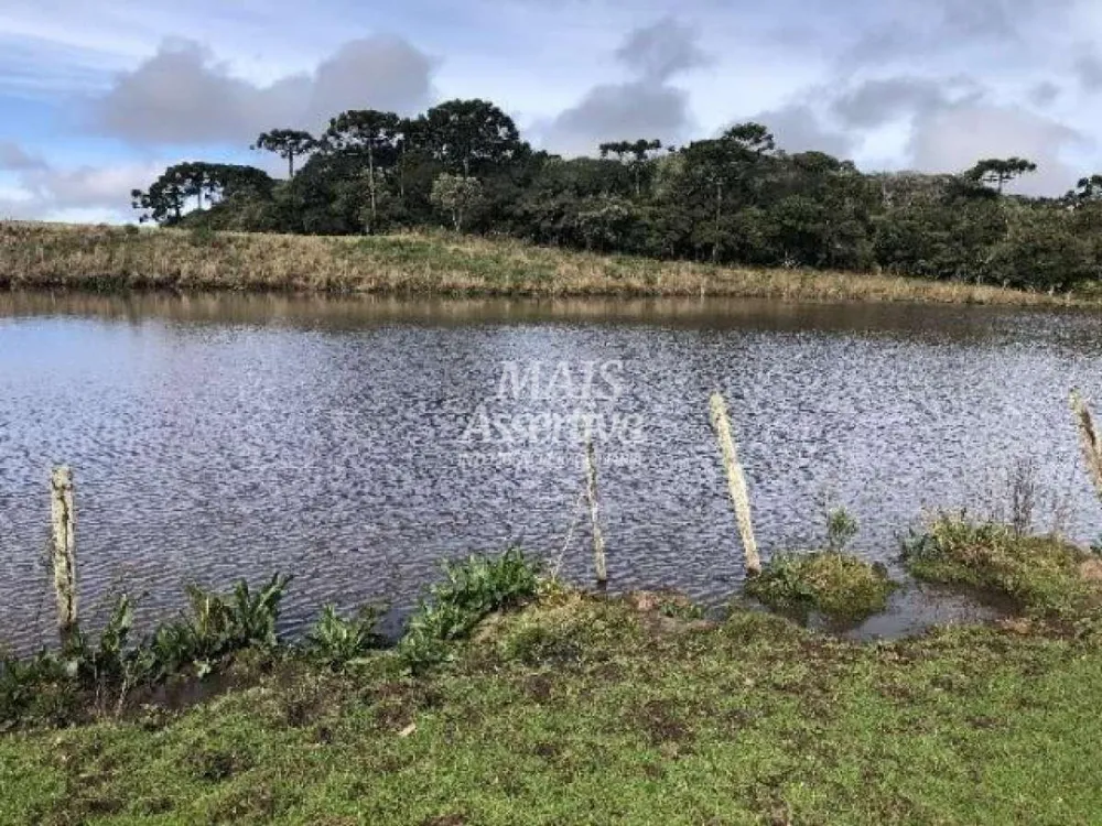 Sítio para Venda em Cambará Do Sul / RS no bairro Faxinalzinho