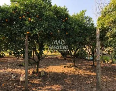 Terreno para Venda em Santo Antônio Da Patrulha / RS