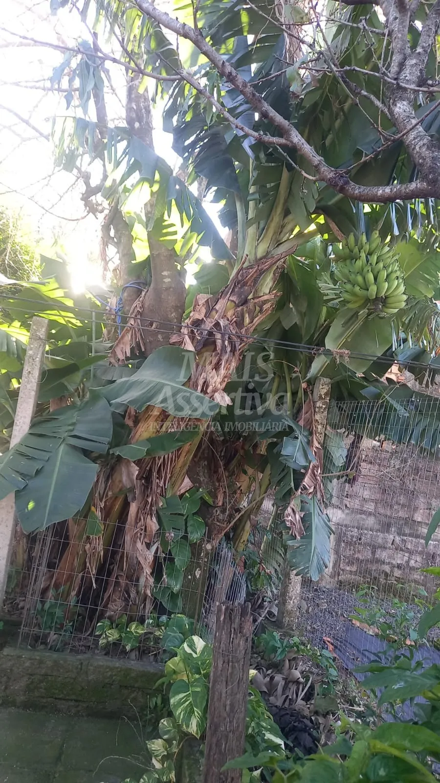 Casa para venda bairro Sol Nascente em Estância Velha