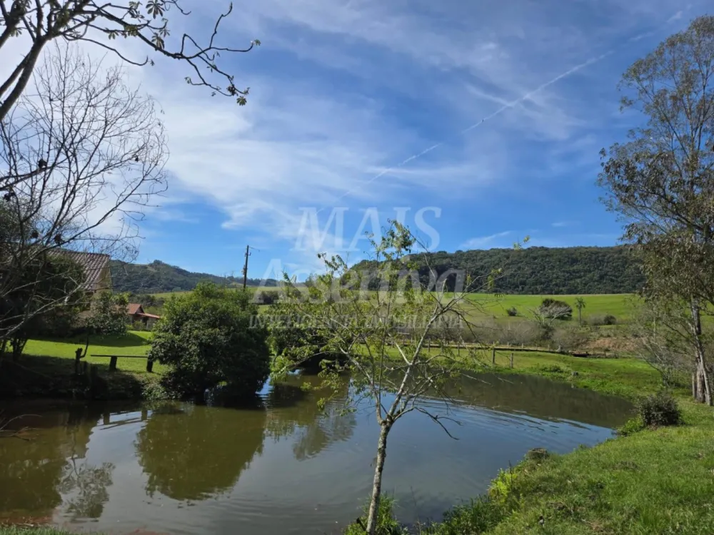 Excelente sítio à venda, localizado em Lomba Grande/Novo Hamburgo