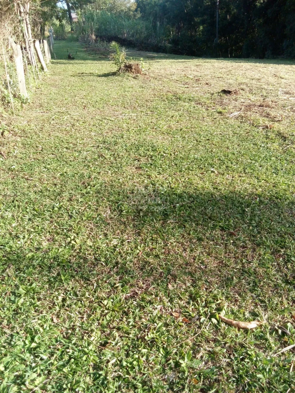 Chácara para venda em Rolante (8.000m²)