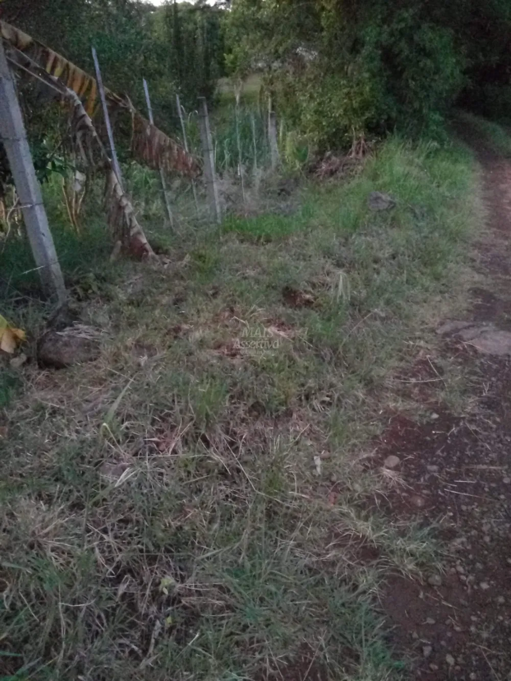 Chácara para venda em Rolante (8.000m²)