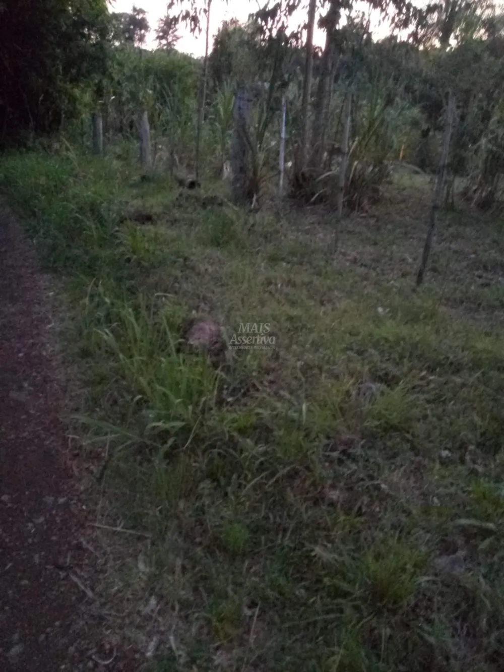 Chácara para venda em Rolante (8.000m²)