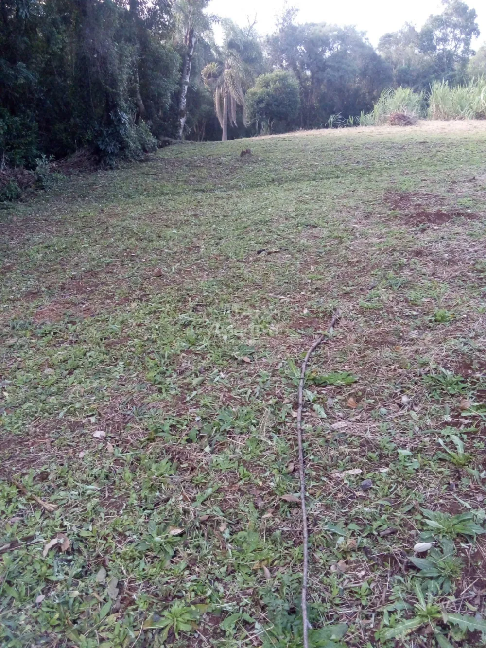 Chácara para venda em Rolante (8.000m²)