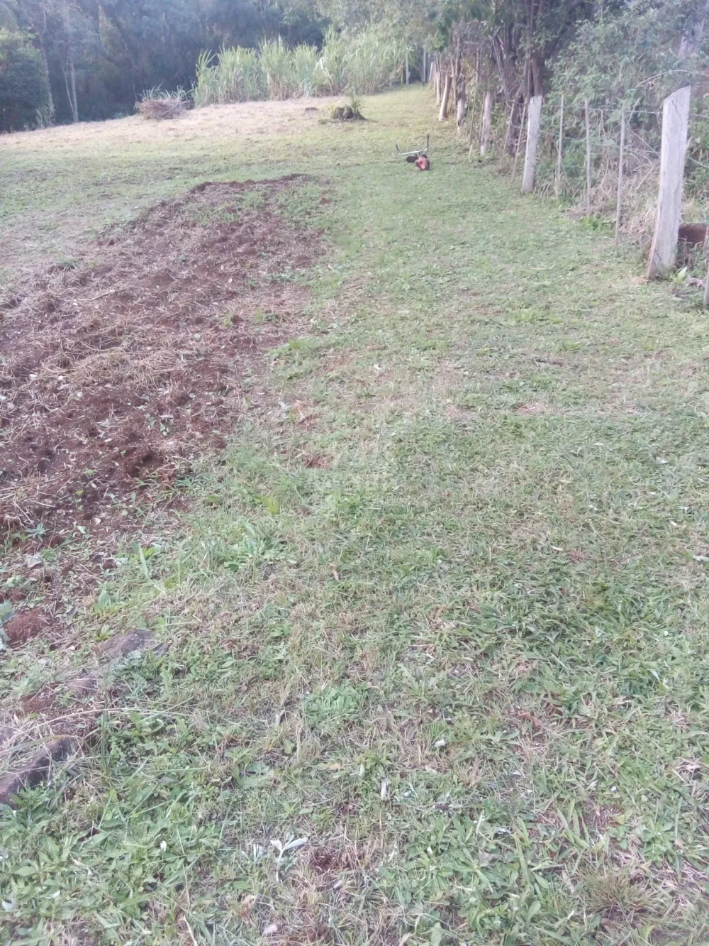 Chácara para venda em Rolante (8.000m²)