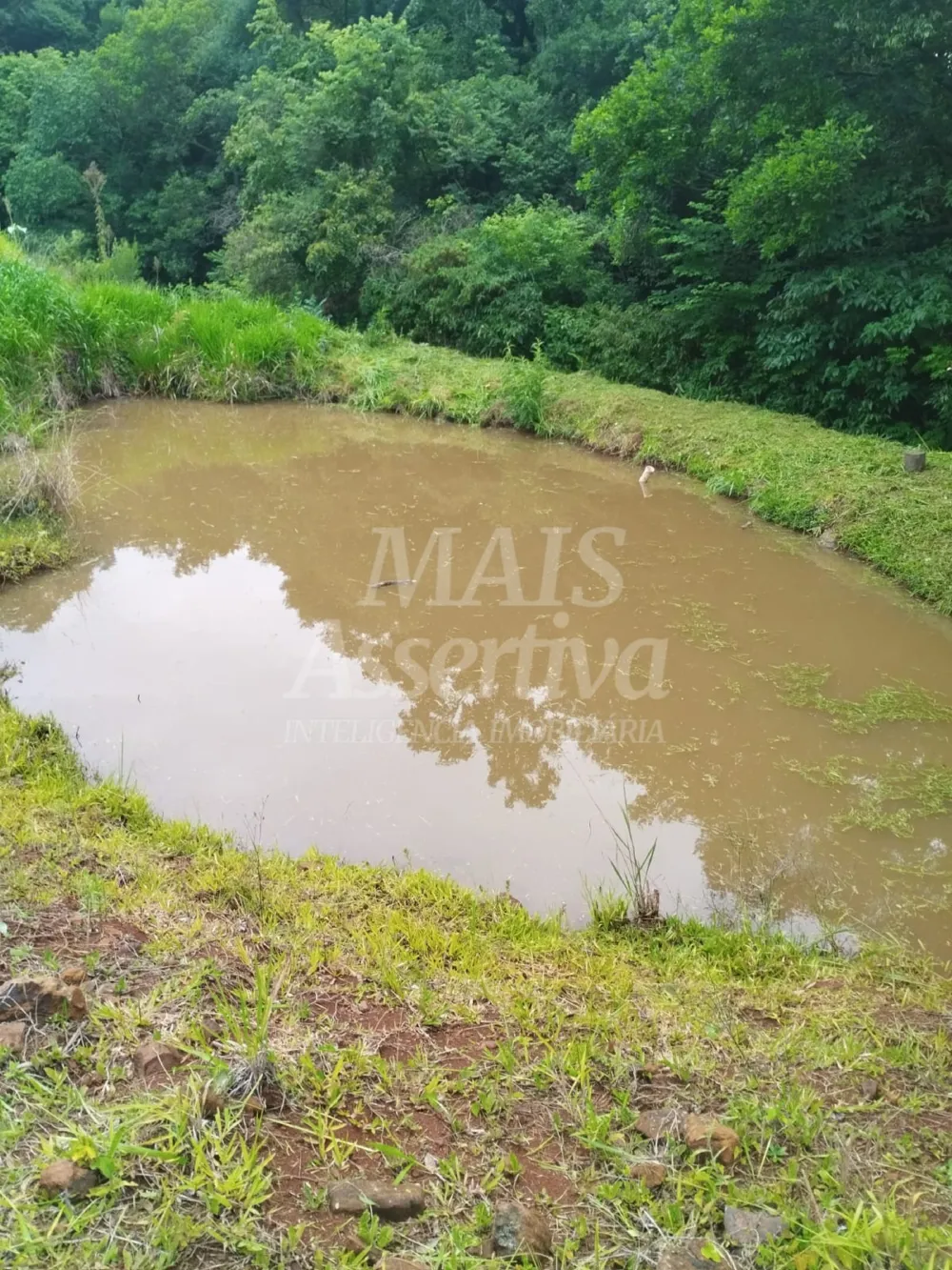 Sítio / Chácara para Venda no bairro Picada Verão em Sapiranga