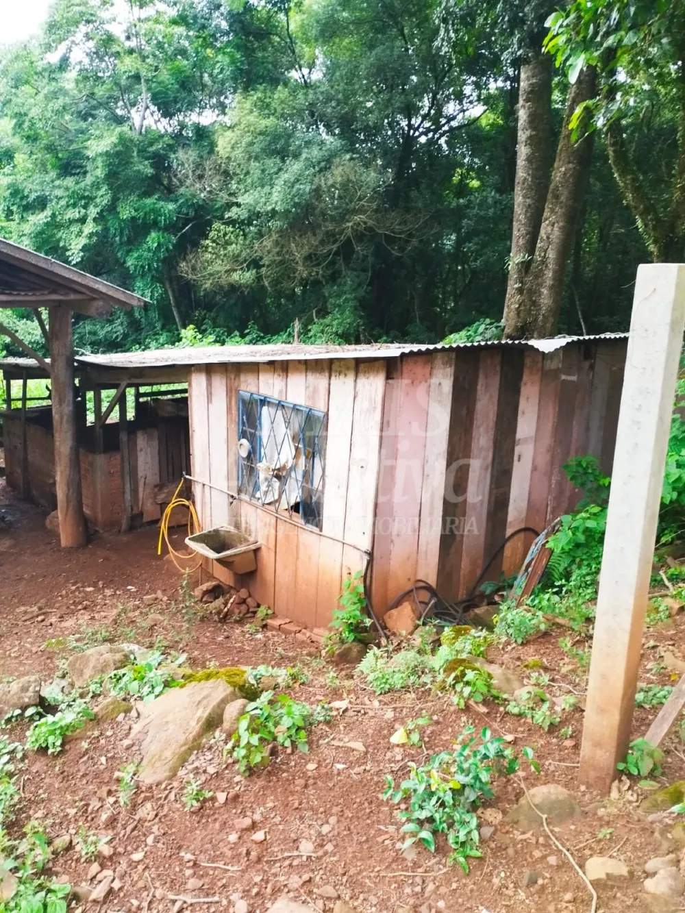Sítio / Chácara para Venda no bairro Picada Verão em Sapiranga